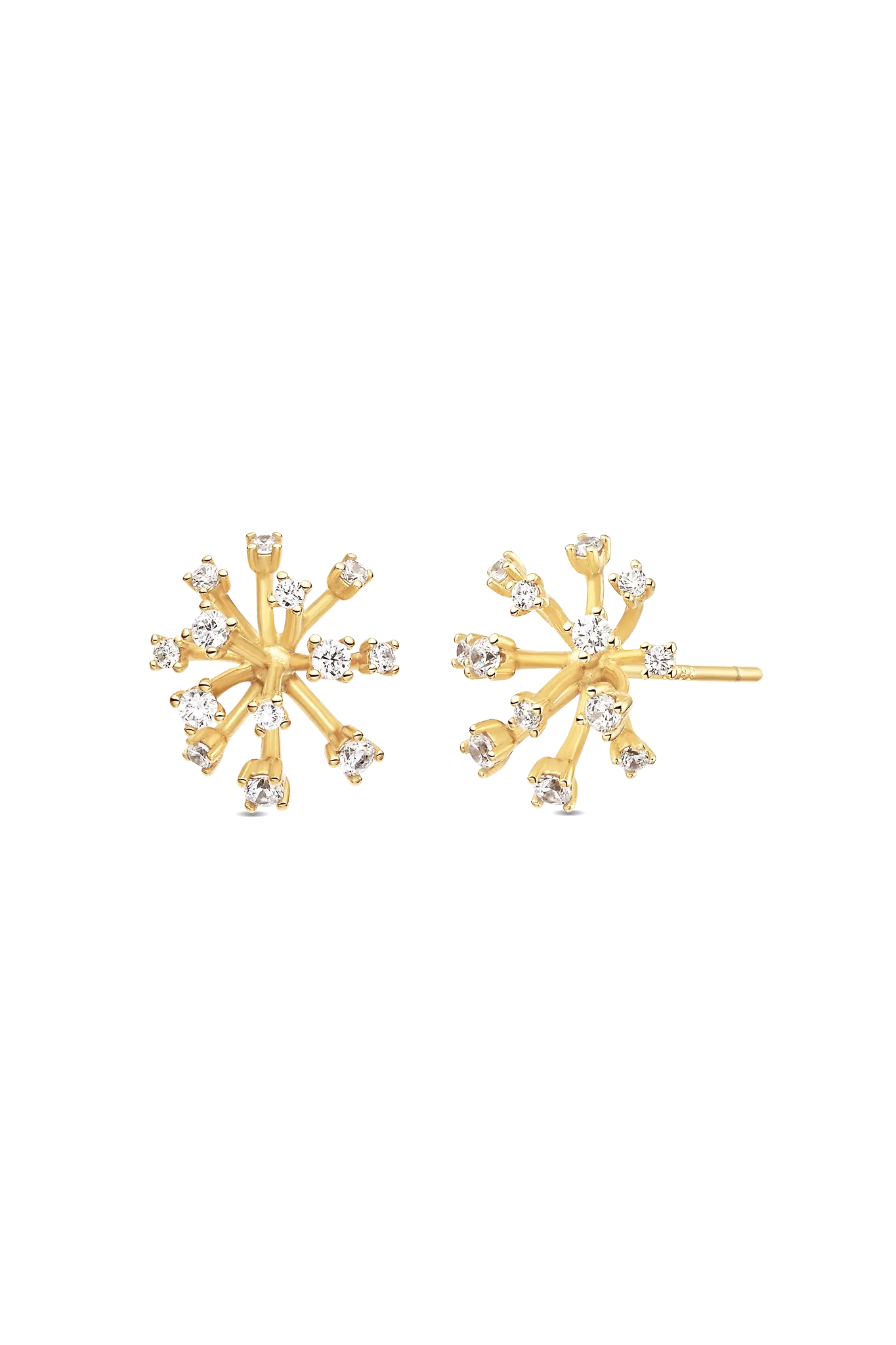 Cercei Argint Fiore Lisa&Co.