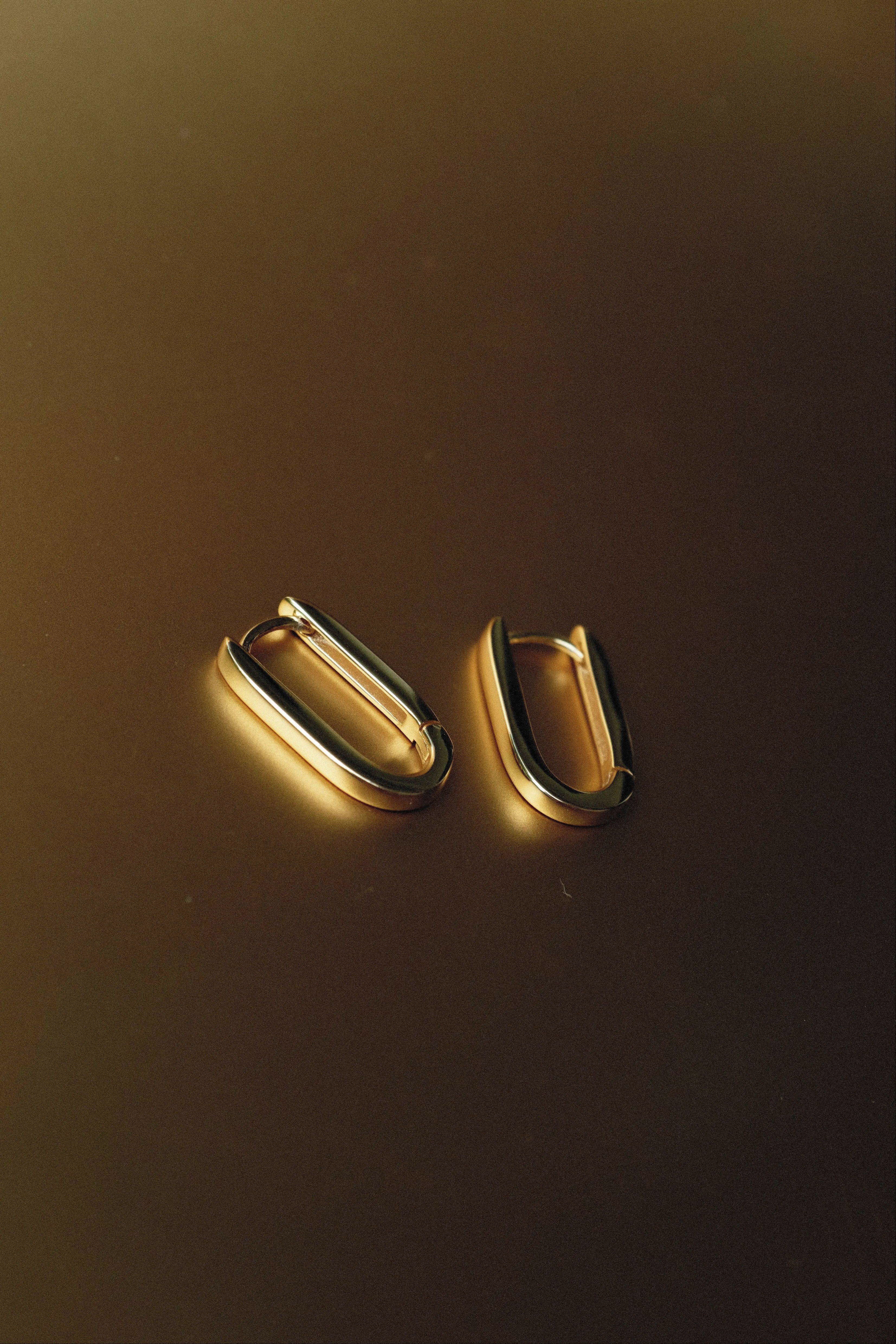 Cercei Argint Linea Lisa&Co.